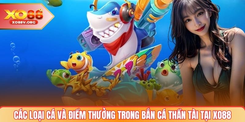 Các loại cá và điểm thưởng trong bắn cá thần tài tại XO88