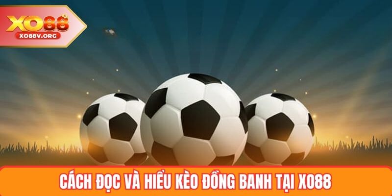 Cách đọc và hiểu kèo đồng banh tại XO88