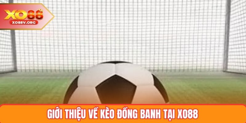 Giới thiệu về kèo đồng banh tại XO88