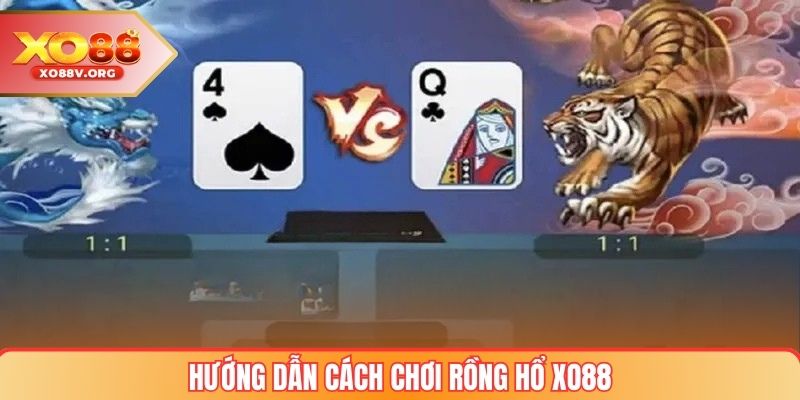 Hướng dẫn cách chơi Rồng hổ xo88