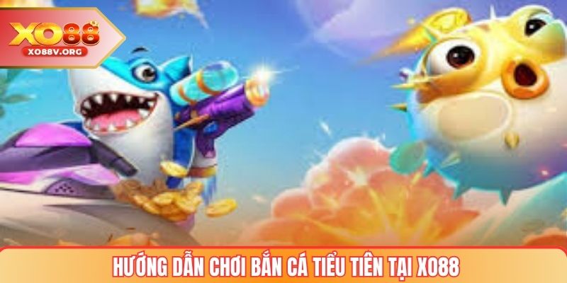 Hướng dẫn chơi Bắn cá tiểu tiên tại XO88