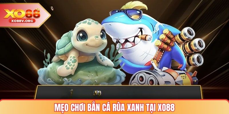 Mẹo chơi Bắn cá rùa xanh tại XO88