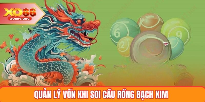 Quản lý vốn và tâm lý khi soi cầu rồng bạch kim