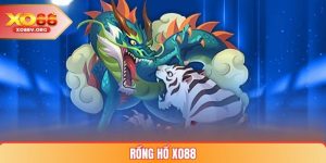 Rồng Hổ XO88