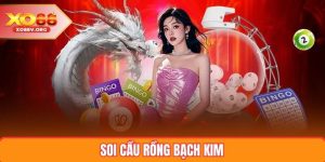 Soi Cầu Rồng Bạch Kim