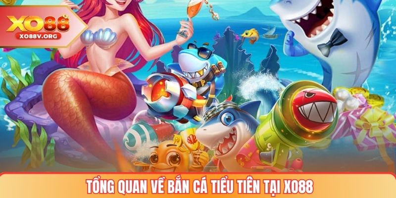 Tổng quan về Bắn cá tiểu tiên tại XO88