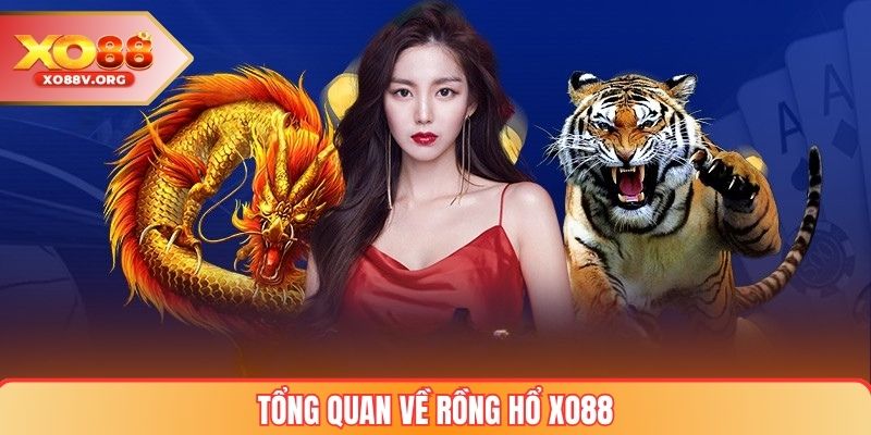 Tổng quan về Rồng hổ xo88