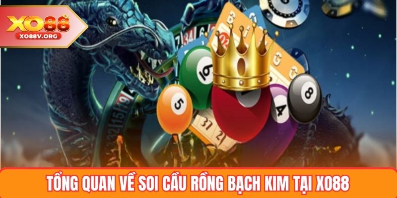 Tổng quan về soi cầu rồng bạch kim tại XO88